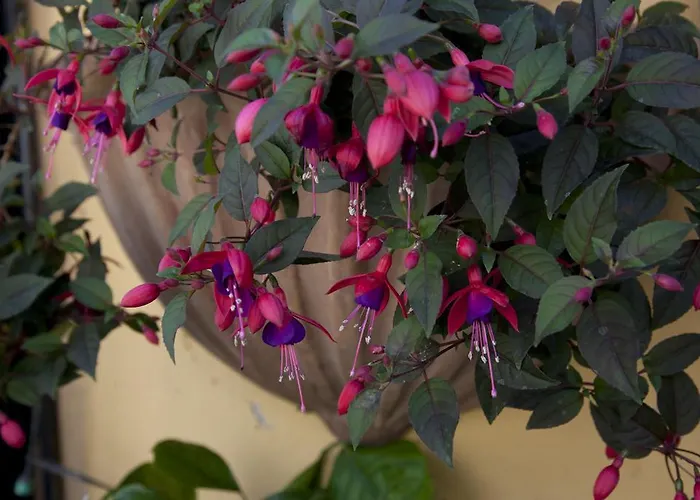 דירה Terrace Jewel By Campo De Fiori רומא